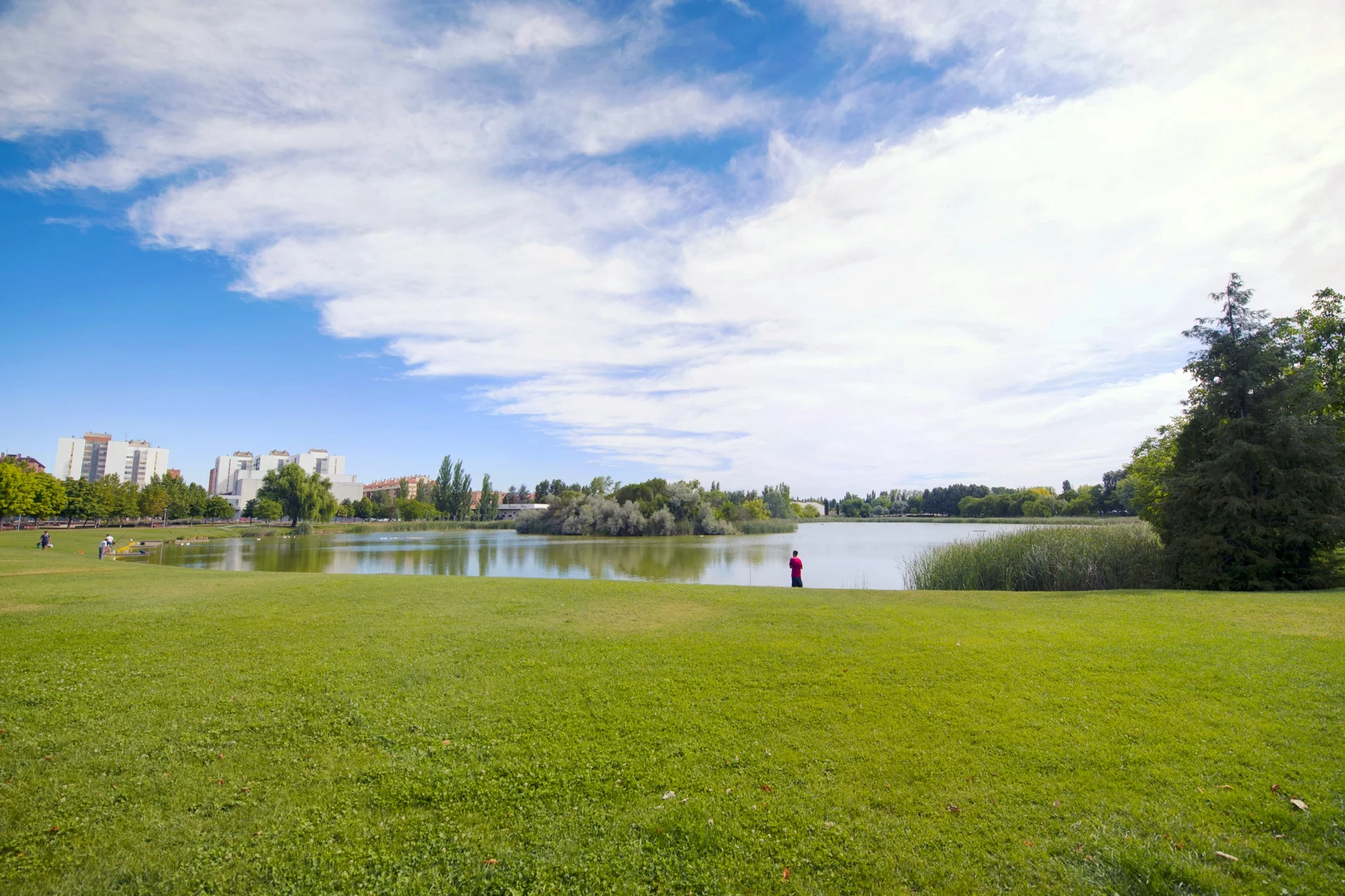 Reparar tejados en Laguna del Duero